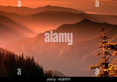 Monti Appalachi al tramonto, vista dalla cupola Clingman, Great Smoky Mountains National Park, North Carolina, STATI UNITI D'AMERICA Foto Stock