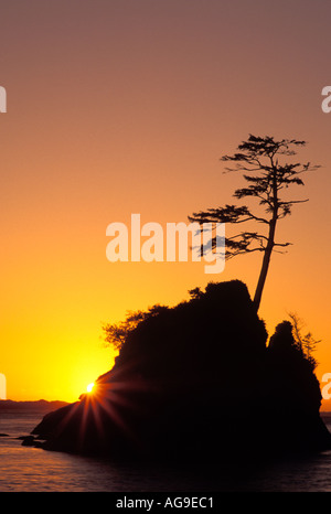 Stack del mare nella baia di Tillamook silohuetted contro il tramonto Garibaldi Oregon Foto Stock