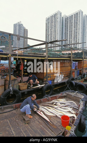 Cina, Hong Kong, uomini pesce di taglio in barca Foto Stock