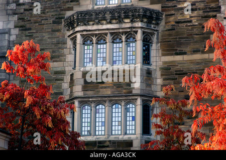 New Haven CT Yale University Dettaglio di Berkeley college residenziale Foto Stock