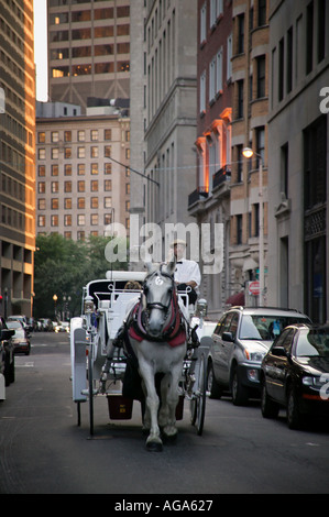 Cavallo e Carrozza Boston MA Foto Stock