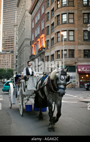 Cavallo e Carrozza Boston MA Foto Stock