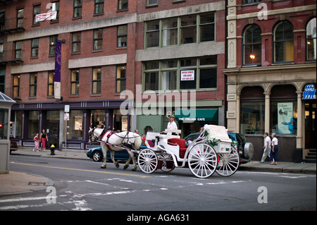 Cavallo e Carrozza Boston MA Foto Stock