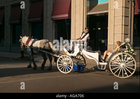 Cavallo e Carrozza Boston MA Foto Stock