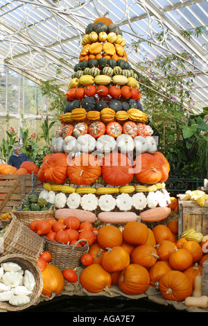 Autumn harvest zucca zucca zucca colori luminosi impilati in una torre Foto Stock