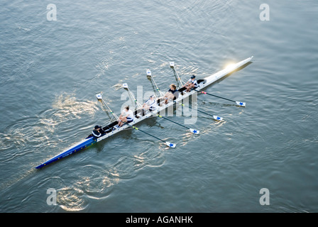 Canottaggio sul fiume Brisbane Brisbane Queensland Australia Foto Stock