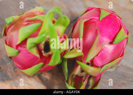 Frutta del drago Foto Stock