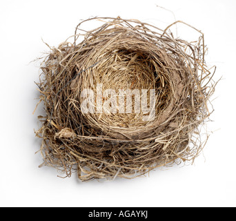 Vuoto di nidificazione degli uccelli Foto Stock