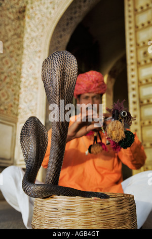 Il serpente incantatore nella parte anteriore del Complesso del City Palace di Jaipur due spettacolo cobras in stridente pongono India Foto Stock