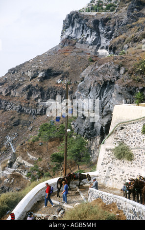 I turisti e gli asini sui gradini fino a FIra,cittadina principale di Santorini . Foto Stock