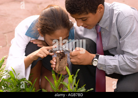 La scuola dei bambini a studiare durante la lezione di scienze Foto Stock
