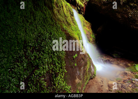 Chugach National Forest Crow Creek Gorge una piccola cascata effonde su verdeggianti coperte di muschio rocce di Crow Creek Gorge Foto Stock