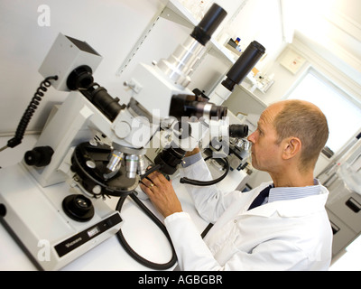 Microbiologo scienziato guardando attraverso il microscopio e concentrare sul lavoro nel suo laboratorio molto clinica e sterile Foto Stock