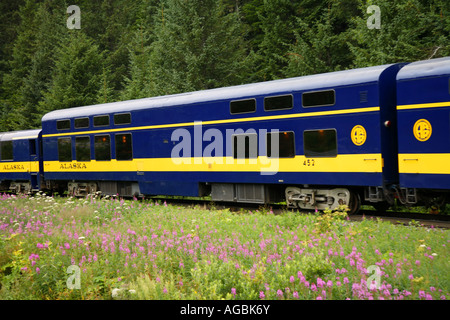 Alaska Railroad vagone ferroviario, Alaska. Foto Stock