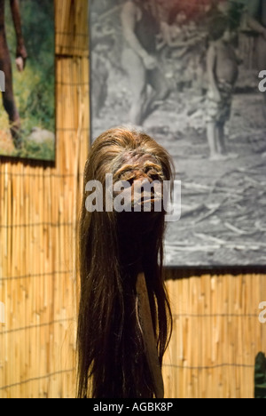 Shrunken testa umana Ripley s Crederlo o non Museo Sant Agostino Florida Foto Stock