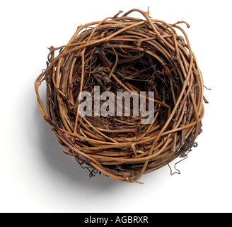 Vuoto di nidificazione degli uccelli Foto Stock