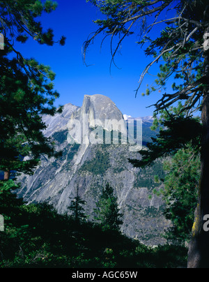 Mezza Cupola è visibile attraverso una apertura tra gli alberi nel Parco Nazionale di Yosemite Foto Stock