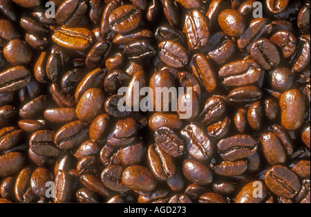 Chicchi di caffè Foto Stock