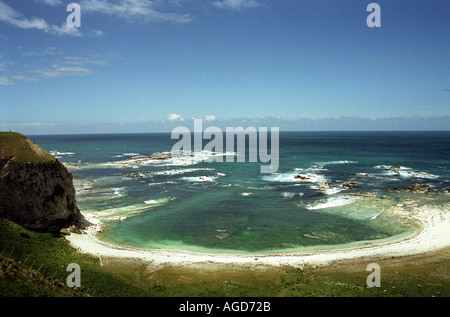 Nuova Zelanda 2003 una piccola baia e rocce costiere presso la piccola isola del Sud Villaggio di Kaikoura Foto Stock