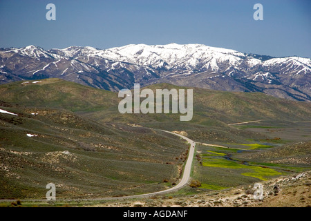 Trinità zona di montagna nei pressi di Anderson serbatoio Ranch in Idaho. Foto Stock