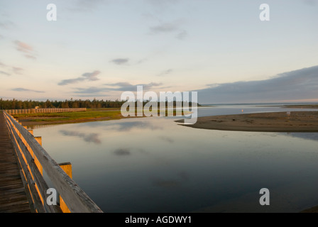 Foto di stock di boardwalk su acqua di sale di palude e dune a Kouchibouguac Parco Nazionale in Canada Foto Stock