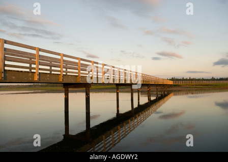 Foto di stock di boardwalk su acqua di sale di palude e dune a Kouchibouguac Parco Nazionale in Canada Foto Stock