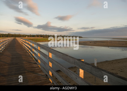 Foto di stock di boardwalk su acqua di sale di palude e dune a Kouchibouguac Parco Nazionale in Canada Foto Stock