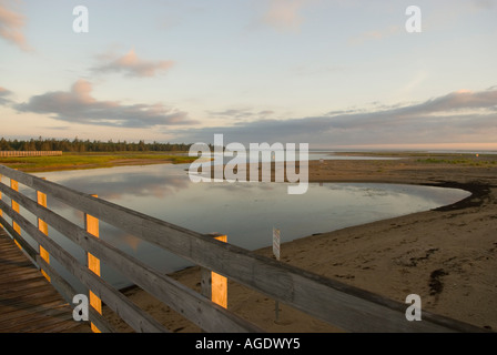 Foto di stock di boardwalk su acqua di sale di palude e dune a Kouchibouguac Parco Nazionale in Canada Foto Stock