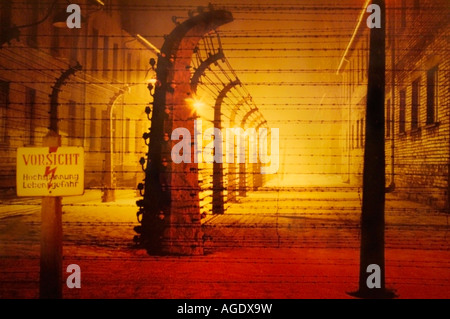 Immagine del poster prese dal fotografo sconosciuto dal Museo di Auschwitz , Auschwitz - Birkenau, Oswiecim, Polonia Foto Stock