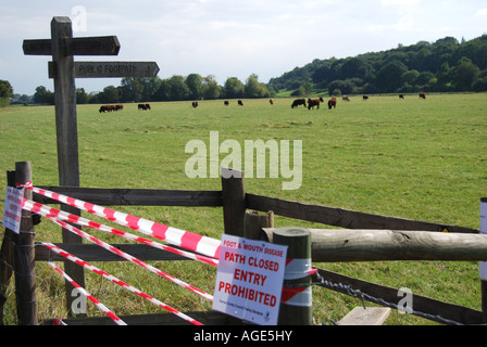 Epidemia di afta epizootica "Entrata vietata " segno, Runnymede, Surrey, England, Regno Unito Foto Stock