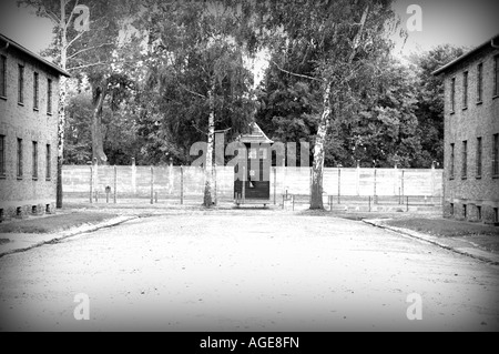 Campo di concentramento nazista di Auschwitz Birkenau, Oswiecim Polonia Foto Stock
