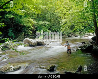 L'uomo la pesca su Little Pigeon River nelle Smoky Mountains nella Carolina del Nord e Stati Uniti d'America Foto Stock