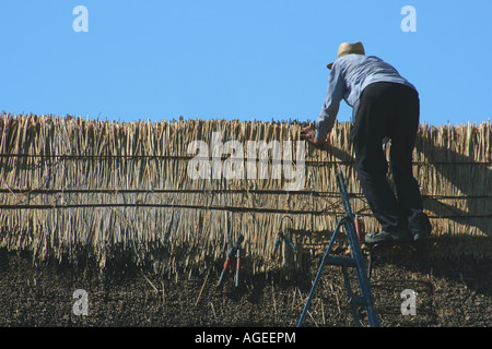 Uomo al lavoro su tetto di paglia in Ballinrobe, nella contea di Mayo, Repubblica di Irlanda Foto Stock