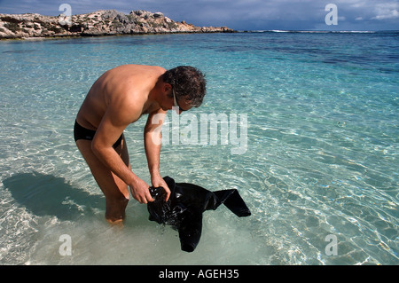 Uomo di lavaggio muta fuori stando in piedi nelle limpide acque della baia di salmone Rottnest Island Western Australia MR Foto Stock