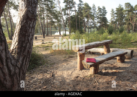 Vista di Frensham con Rosso e cuscino seduta in legno Foto Stock