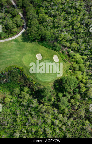 Vista aerea del foro di golf sul campo da golf circondato da alberi di Maui Hawaii Foto Stock