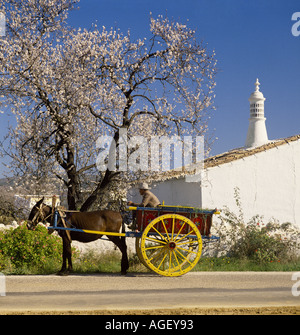 Rustico carrello mulo e mandorli in fiore, con camino in stile moresco sul rustico in Algarve Portogallo Foto Stock