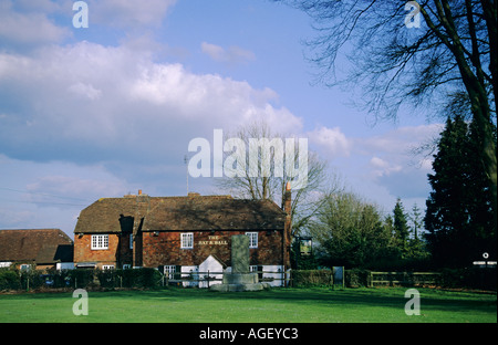 Bat e la sfera pubblica Hambledon House Inghilterra Hampshire REGNO UNITO Foto Stock