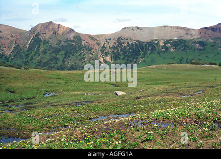 Escursionismo il Rainbow Mountain Range in Tweedsmuir Parco Provinciale della Columbia britannica in Canada Foto Stock