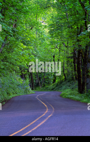 Crown Point Autostrada o storica vecchia Columbia River Autostrada attraverso la Columbia River Gorge nei pressi di Corbett Oregon Foto Stock