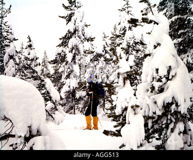 Cross country sciatore visto tra neve coperti di alberi in un remoto paese indietro il sentiero della cascata montagne di Oregon Foto Stock