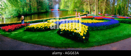 Keukenhof Giardini Tulip Lisse Olanda Foto Stock