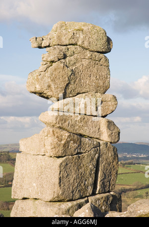 Bowerman del naso su Hayne giù, Dartmoor Foto Stock