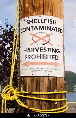 Molluschi contaminati segno Cowichan Bay, l'isola di Vancouver, British Columbia. Foto Stock