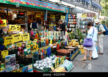 La gente all'Amsterdam s Il mercato dei fiori sul canale Singel Holland Foto Stock