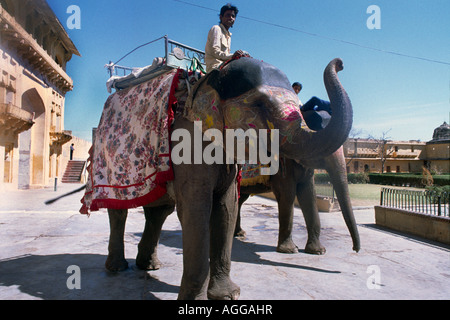 Jaipur India Ambra Palace uomo su elefante Foto Stock