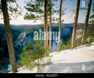 Grand Canyon della Pennsylvania vista da Leonard Harrison stato parco di Pine Creek, Tioga County, Pennsylvania, Stati Uniti d'America, Foto Stock