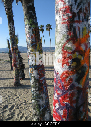 Graffiti tre palme in una fila sulla sabbia in spiaggia Vencie California Foto Stock