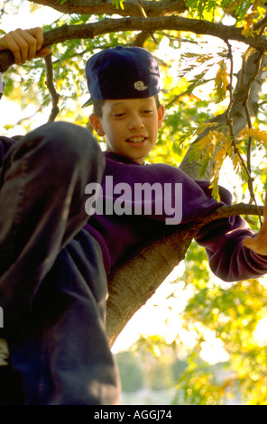 Ragazzo ispanica età 12 seduto in un albero a gioventù Express Dunning campo. St Paul Minnesota USA Foto Stock