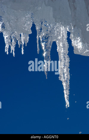 Ghiaccioli, Val Thorens, sulle Alpi francesi, Francia Foto Stock